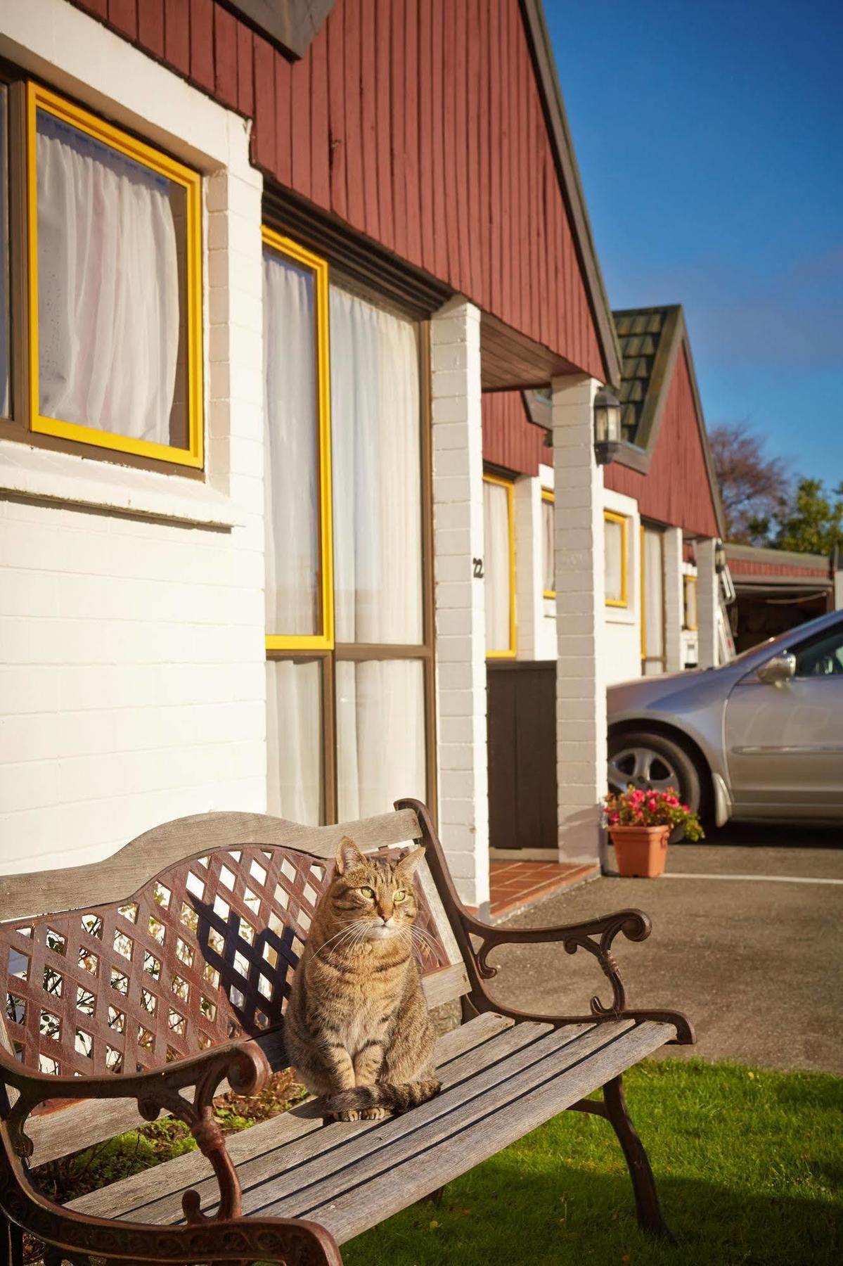 Bavarian Motel Invercargill Exterior photo